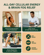 Premium Methylated Vitamin B Complex