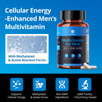 Men’s Multivitamin for Daily Energy & Wellness