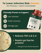 Zinc Picolinate 30mg