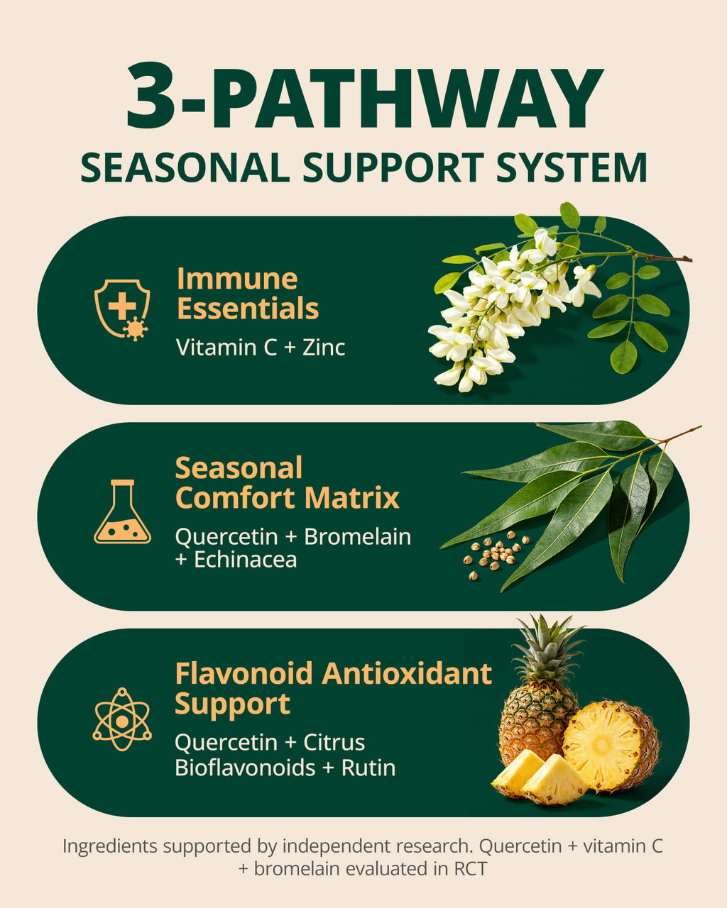 Quercetin 600mg with Bromelain, Vitamin C & Zinc